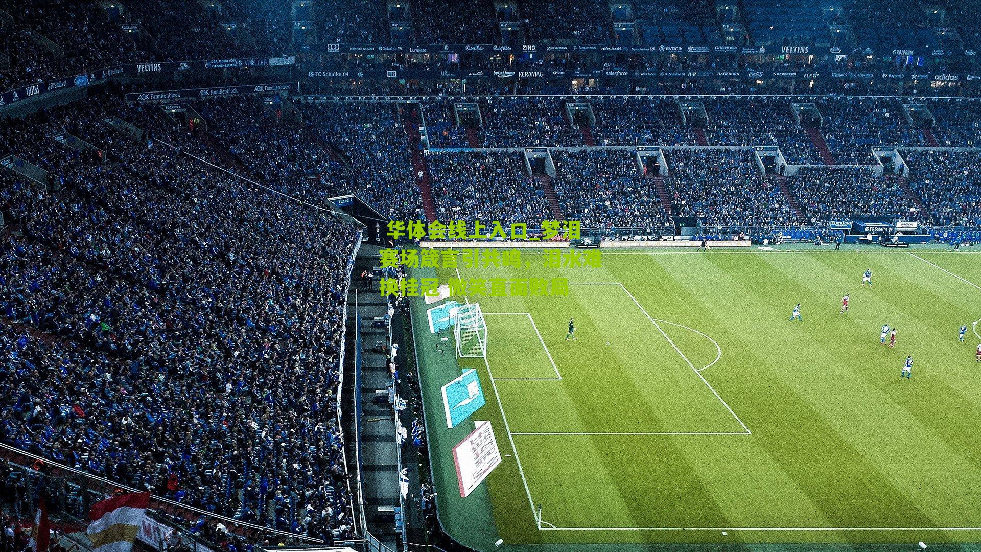 梦泪赛场箴言引共鸣,泪水难换桂冠 微笑直面败局