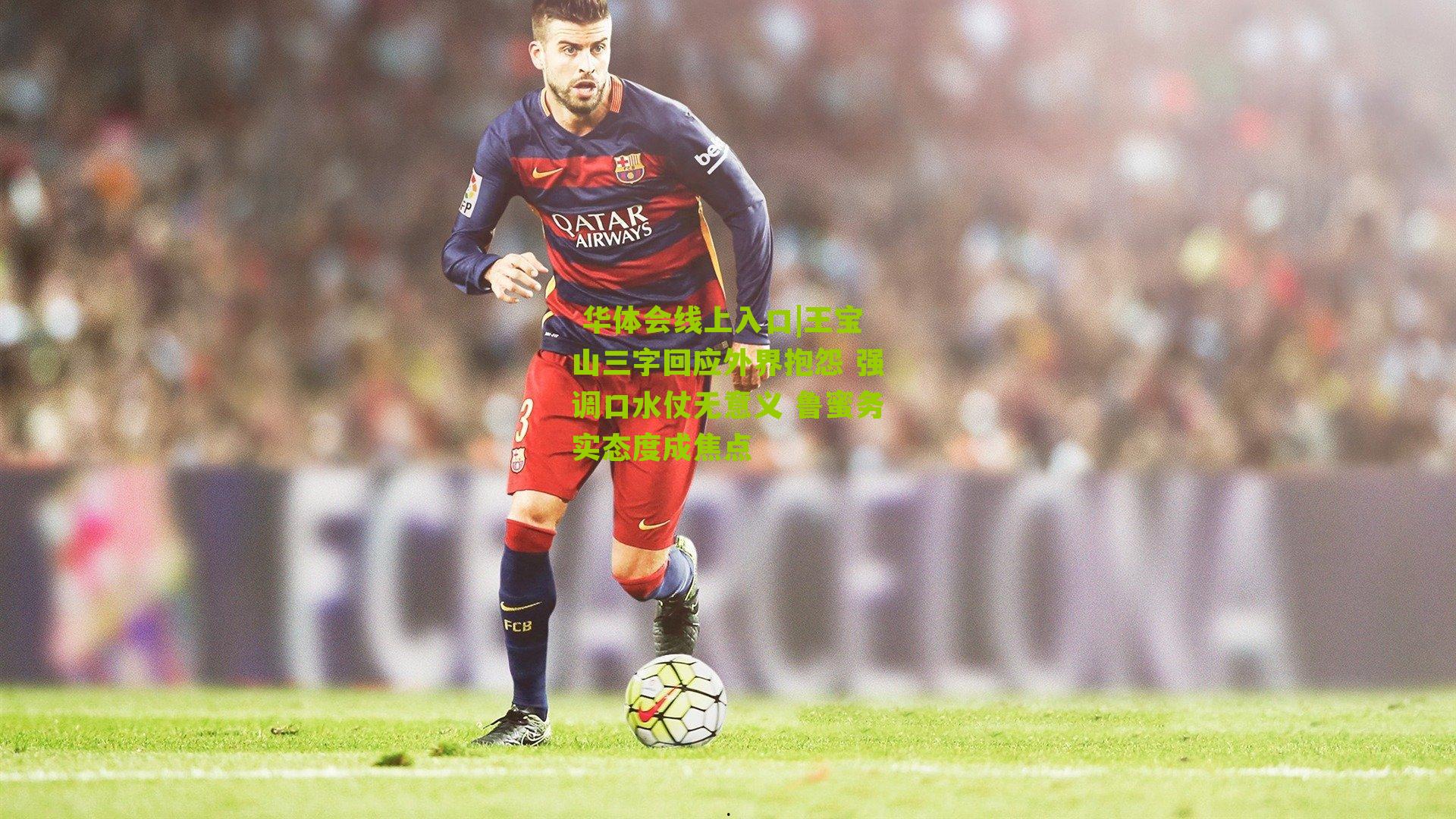 王宝山三字回应外界抱怨 强调口水仗无意义 鲁蜜务实态度成焦点