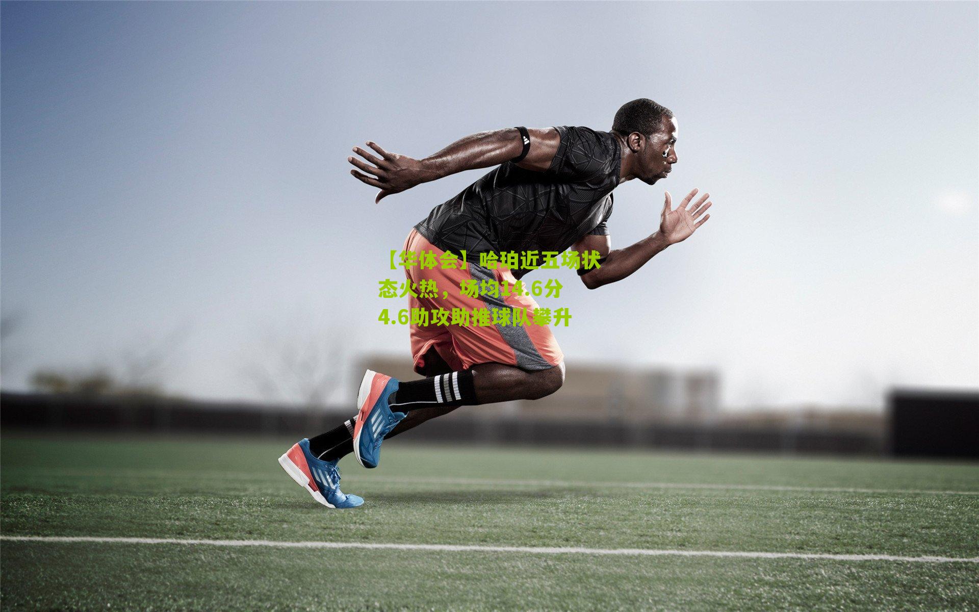 哈珀近五场状态火热，场均14.6分4.6助攻助推球队攀升